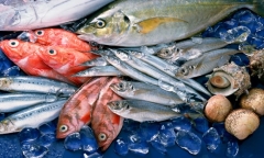 Tiêu hủy hải sản không an toàn ở Quảng Bình